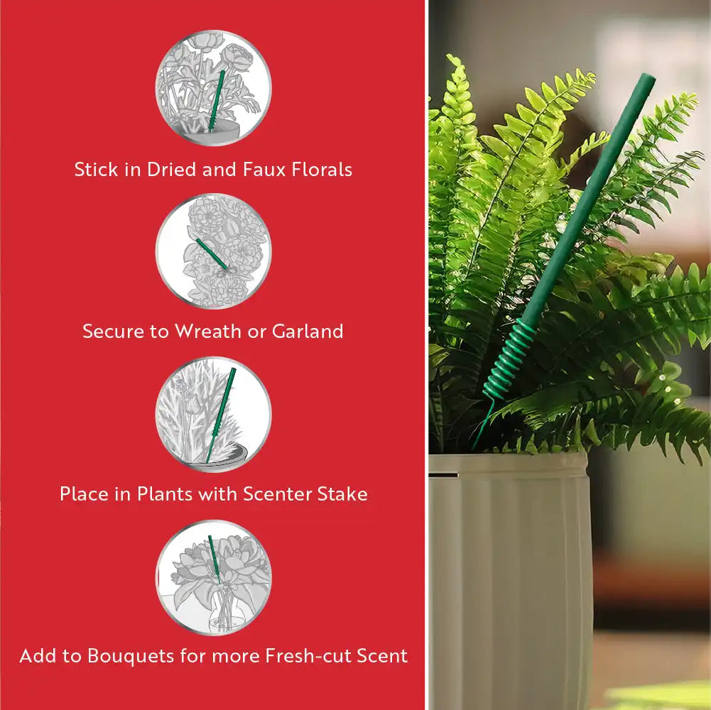 Scentsicles, 6pc Stick, 1 Lemon 'n Lilies/ 1 Berryvines & Wildflowers- 2 pack