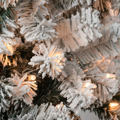 6 ft. Pre-Lit Acacia Medium Flocked Tree with Clear Lights, Plug-In
