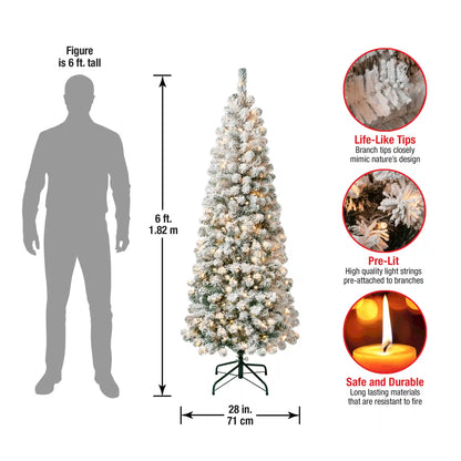 6 ft. Pre-Lit Acacia Medium Flocked Tree with Clear Lights, Plug-In