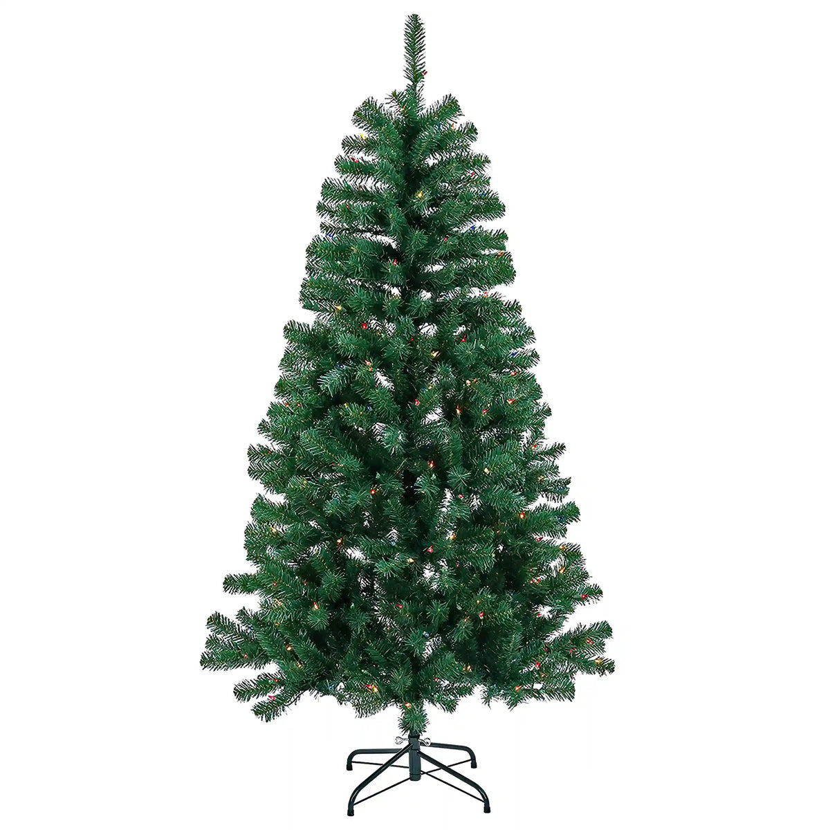 6 ft. Acacia Tree with Multicolor Lights, Plug-In