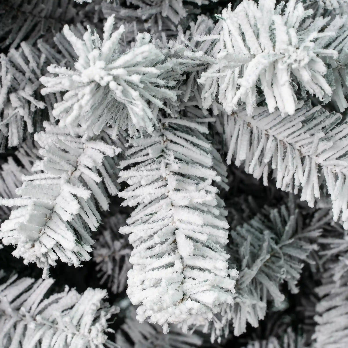 4.5 ft. Acacia Flocked Tree