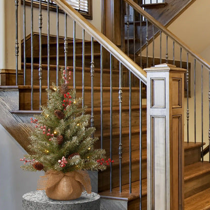 2 ft. Pre-Lit Dunhill Fir Tree with LED Lights