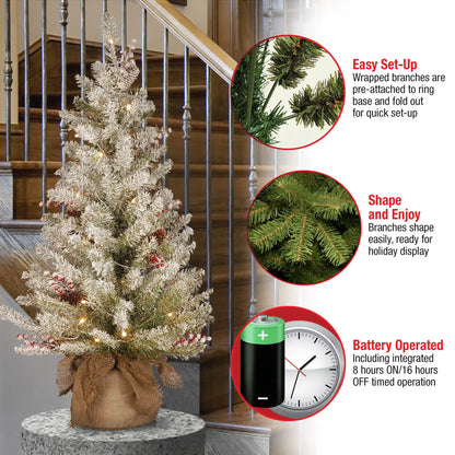 3 ft. Pre-Lit Dunhill Fir Tree with Warm White LED Lights