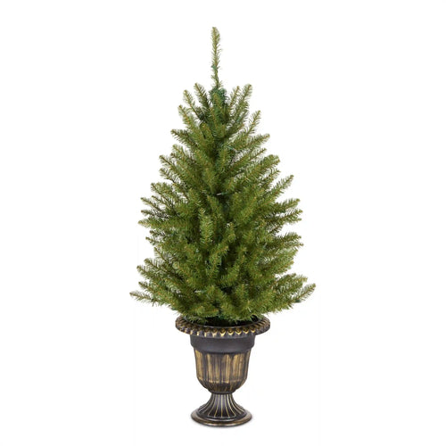 4 ft. Pre-Lit Dunhill Fir Entrance Tree  in Dark Bronze Pot with Clear Lights, Plug-In