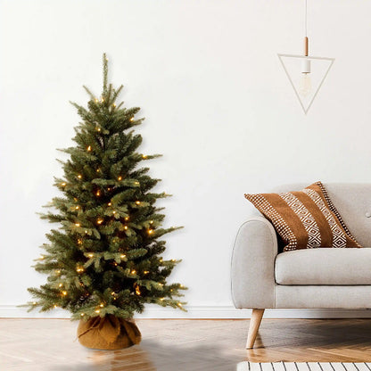 4 ft. Pre-Lit Everyday Collection Tree with Clear Lights, Plug-In