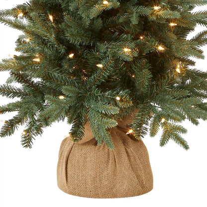 4 ft. Pre-Lit Everyday Collection Tree with Clear Lights, Plug-In