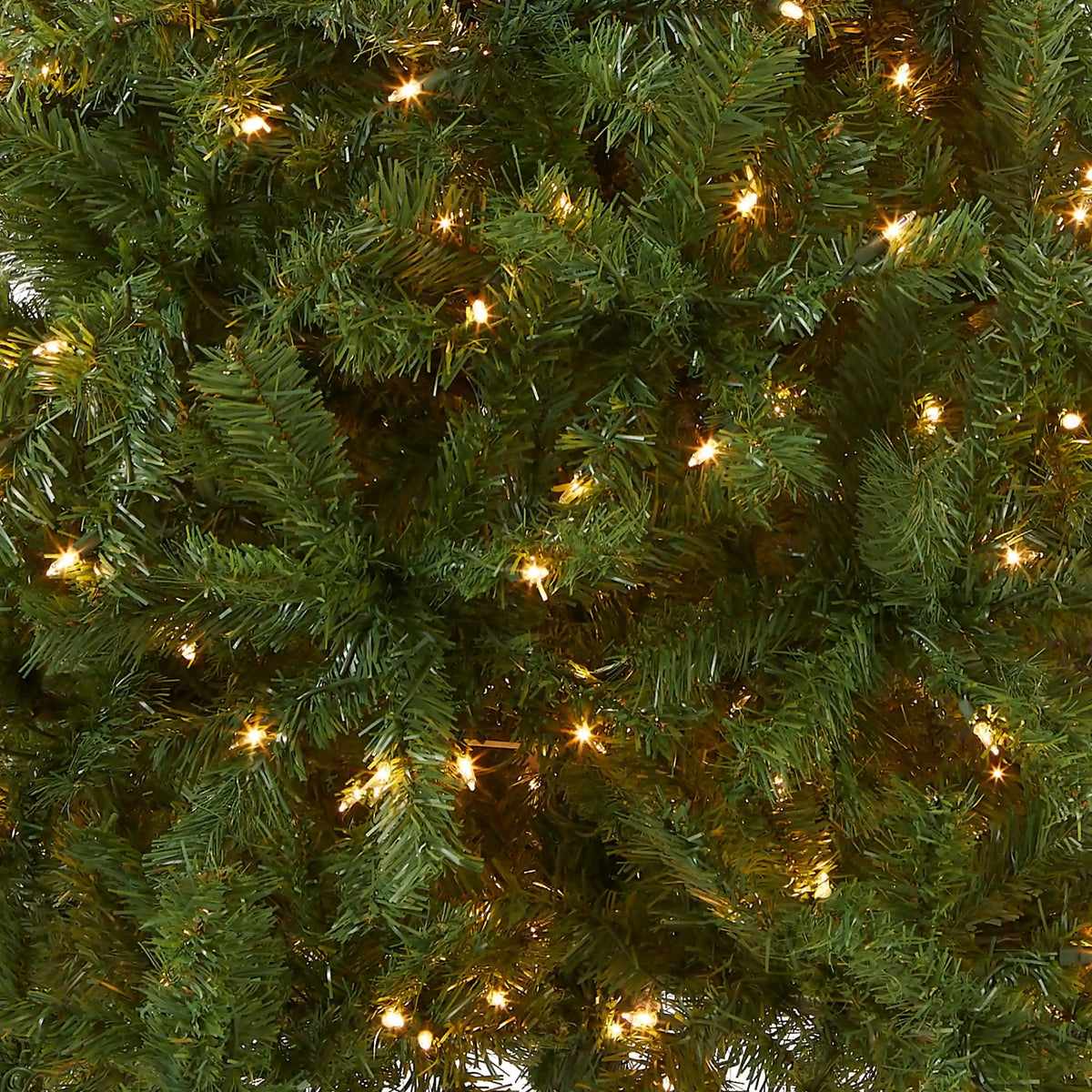 6 ft. Pre-Lit Kincaid Spruce Tree with Clear Lights, Plug-In