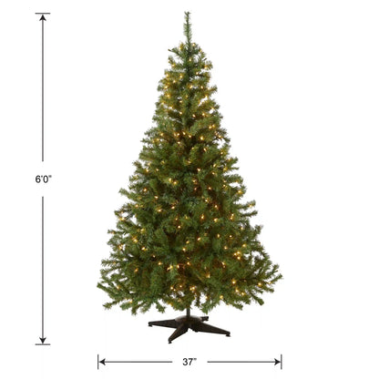 6 ft. Pre-Lit Kincaid Spruce Tree with Clear Lights, Plug-In