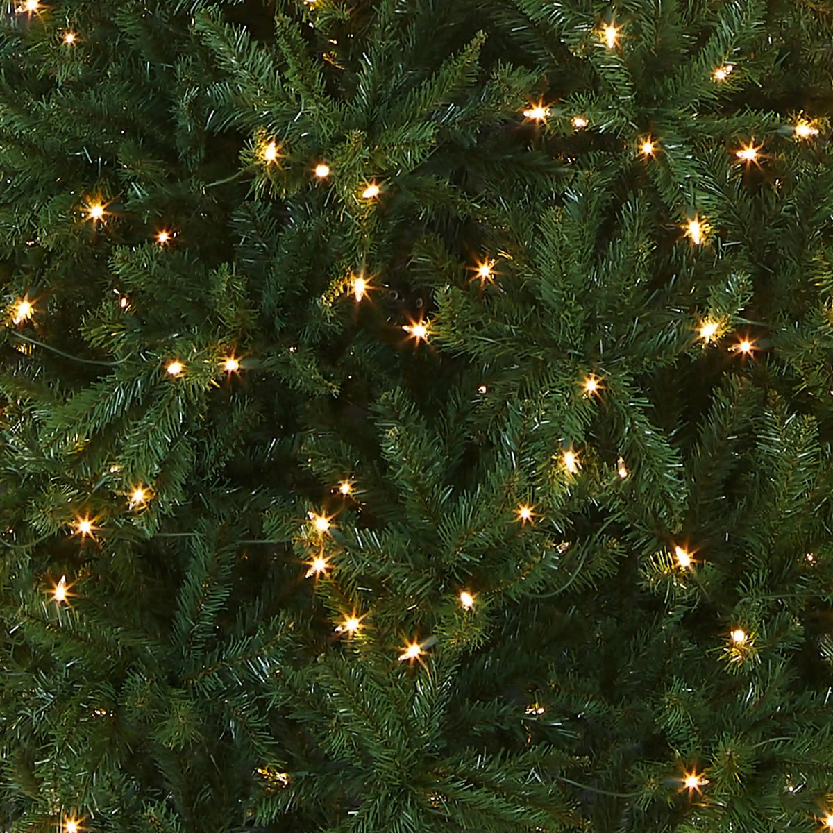 10 ft. Pre-Lit Kingswood Fir Pencil Slim Tree with Clear Lights, Plug-In