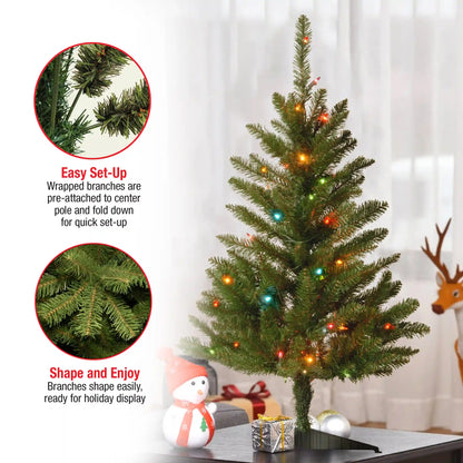 3 ft. Kingswood Fir Tree with Multicolor Lights