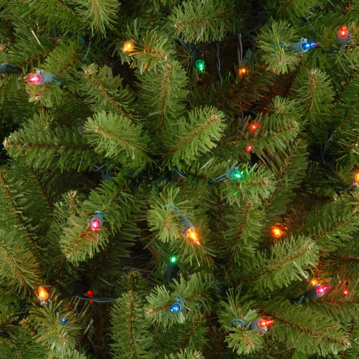 7 ft. Pre-Lit Kingswood Fir Pencil Tree with Multicolor Lights, Plug-In