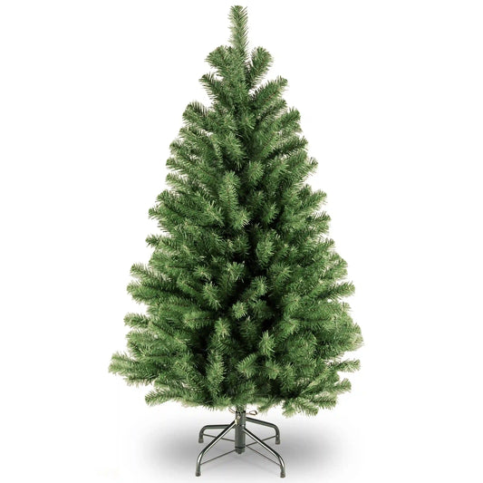 4 ft. North Valley Spruce Tree