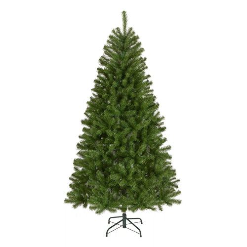 6.5 ft. North Valley Spruce Tree