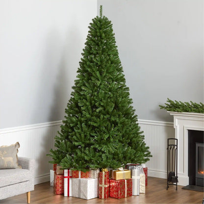 9 ft. North Valley Spruce Tree
