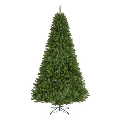9 ft. North Valley Spruce Tree