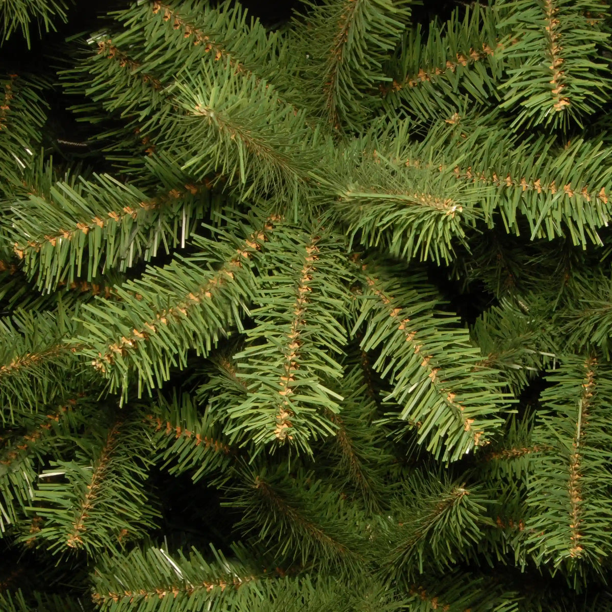 7 ft. North Valley Spruce Pencil Slim Tree