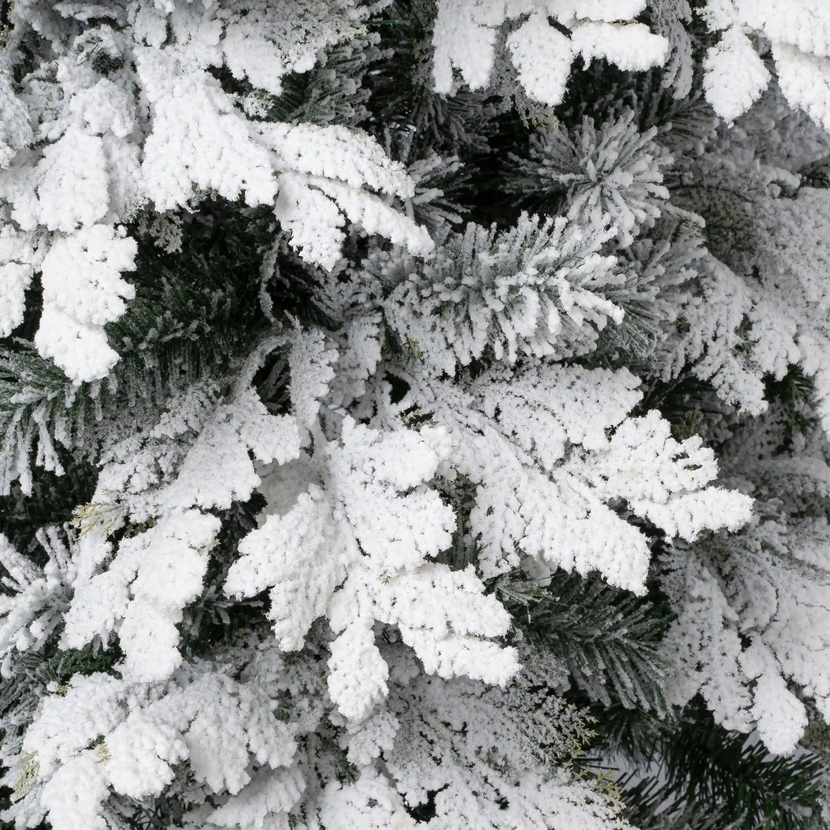 6 ft. Acacius Snowy Tree
