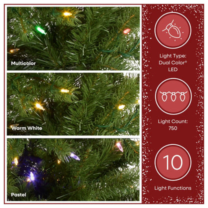 7.5 ft. Pre-Lit Downswept Douglas Fir Hinged Tree with 750 Dual Color LED Lights, Plug-In