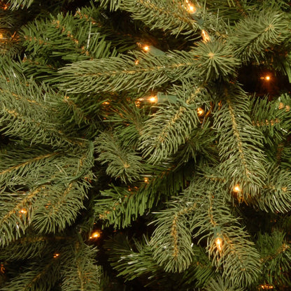 7 ft. Pre-Lit Downswept Douglas Fir Tree with 700 Clear Lights