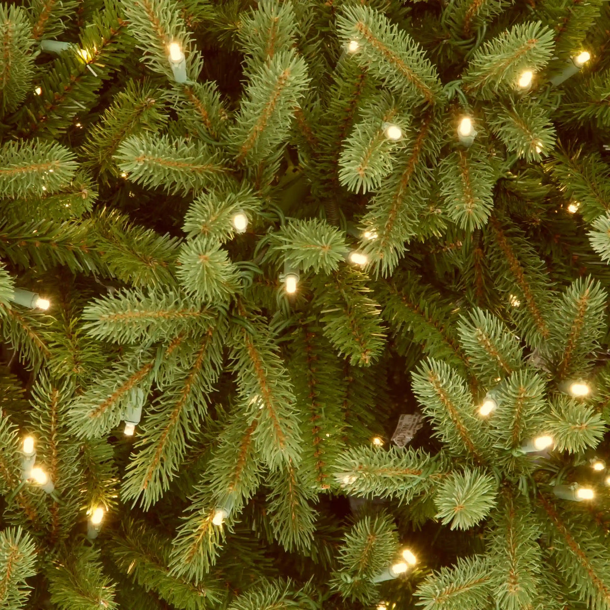 6.5 ft. Pre-Lit Jersey Fraser Fir Tree with Clear Lights, Plug-In