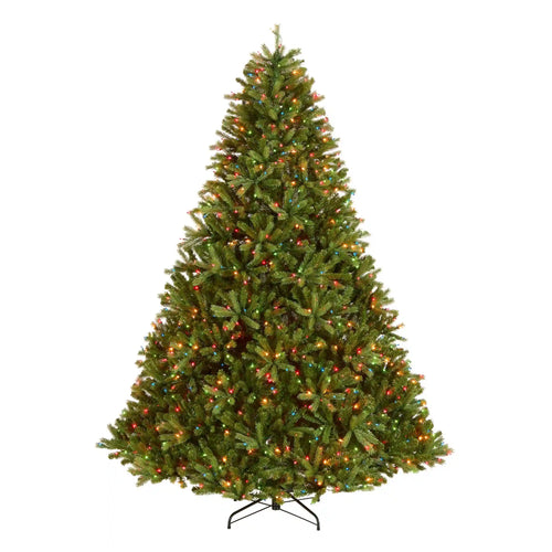 7.5 ft. Pre-Lit Jersey Fraser Fir Tree with Multicolor Lights