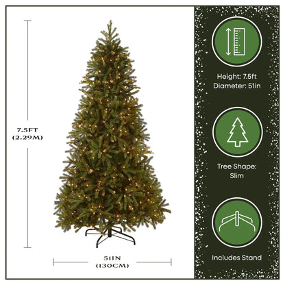 7.5 ft. Pre-Lit Jersey Fraser Fir Slim Tree with Clear Lights, Plug-In