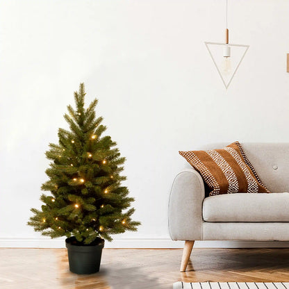 3 ft. Pre-Lit Jersey Fraser Fir Tree with Warm White LED Lights
