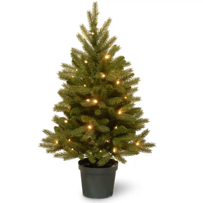 3 ft. Pre-Lit Jersey Fraser Fir Tree with Warm White LED Lights