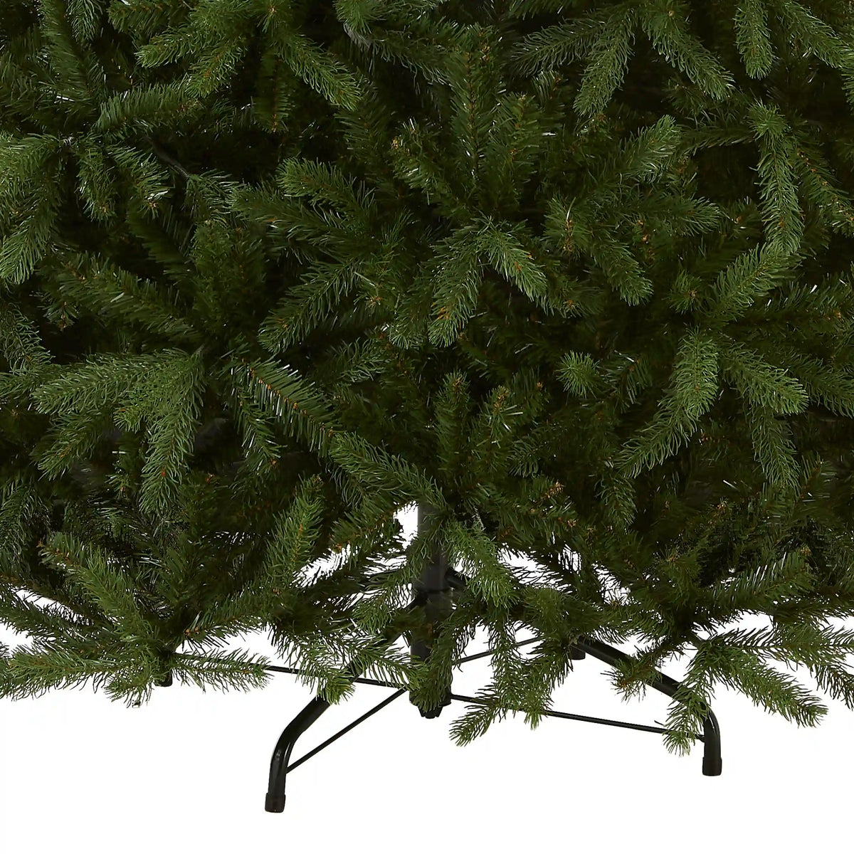 7.5 ft. Newberry Spruce Tree