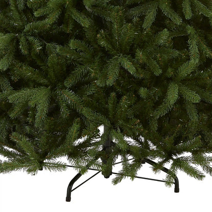 7.5 ft. Newberry Spruce Tree
