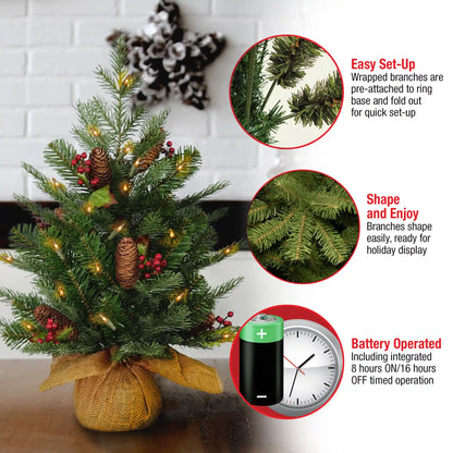 2 ft. Pre-Lit Nordic Spruce Tree with  LED Lights