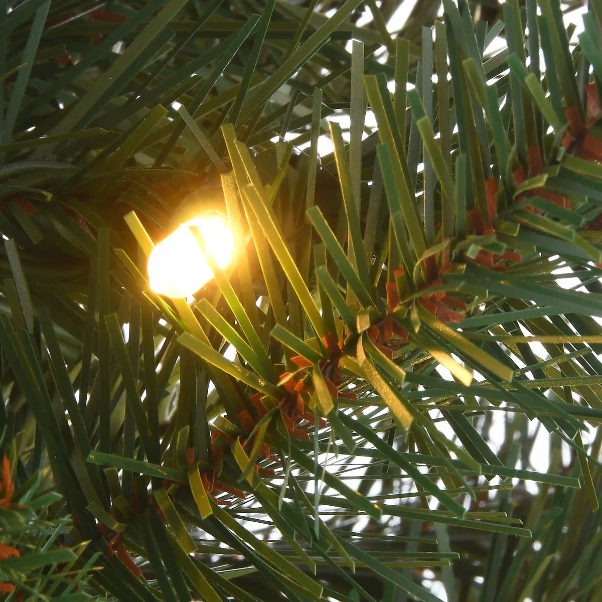 4 ft. Pre-Lit Scotch Creek Fir Tree with LED Lights, Plug-In