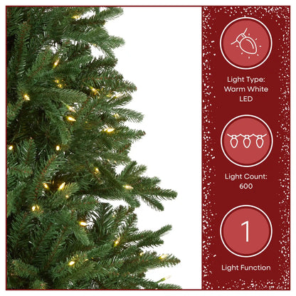 7.5 ft. Pre-Lit Winslow Fir with Warm White LED Lights
