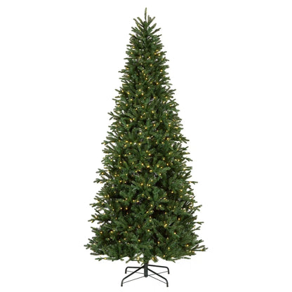 9 ft. Pre-Lit Winslow Fir Tree with Warm White LED Lights