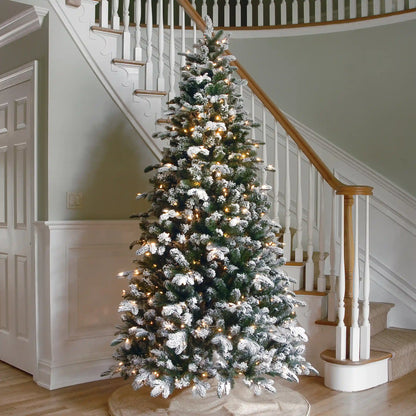 7.5 ft. Pre-Lit Snowy Everest Fir Medium Tree with Clear Lights, Plug-In