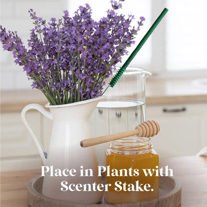 Scentsicles, 6pc Stick, 1 Sun-Soaked Lavender/1 Into the Vanilla Woods-  2 pack