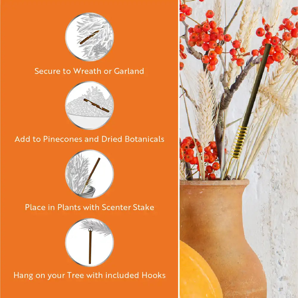 Scentsicles, 6pc Stick, 1 Autumn 'n Apples/ 1 Pumpkin 'n Cider/ 1 Two Dashes of Cinnamon 3 pack