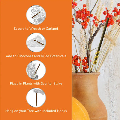Scentsicles, 6pc Stick, 1 Autumn 'n Apples/ 1 Pumpkin 'n Cider/ 1 Two Dashes of Cinnamon 3 pack