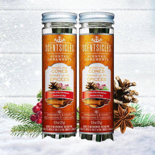 Scented Ornaments, 2-Pack-  6ct Bottle, Spiced Pine Cones, Fragrance-Infused Paper Sticks