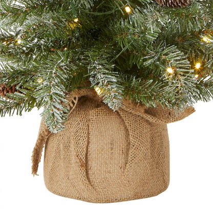 2 ft. Pre-Lit Snowy Concolor Fir Tree with LED Lights