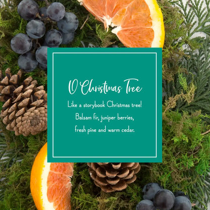 Scented Ornaments, 2- Pack- 6ct Bottle, O Christmas Tree, Fragrance-Infused Paper Sticks
