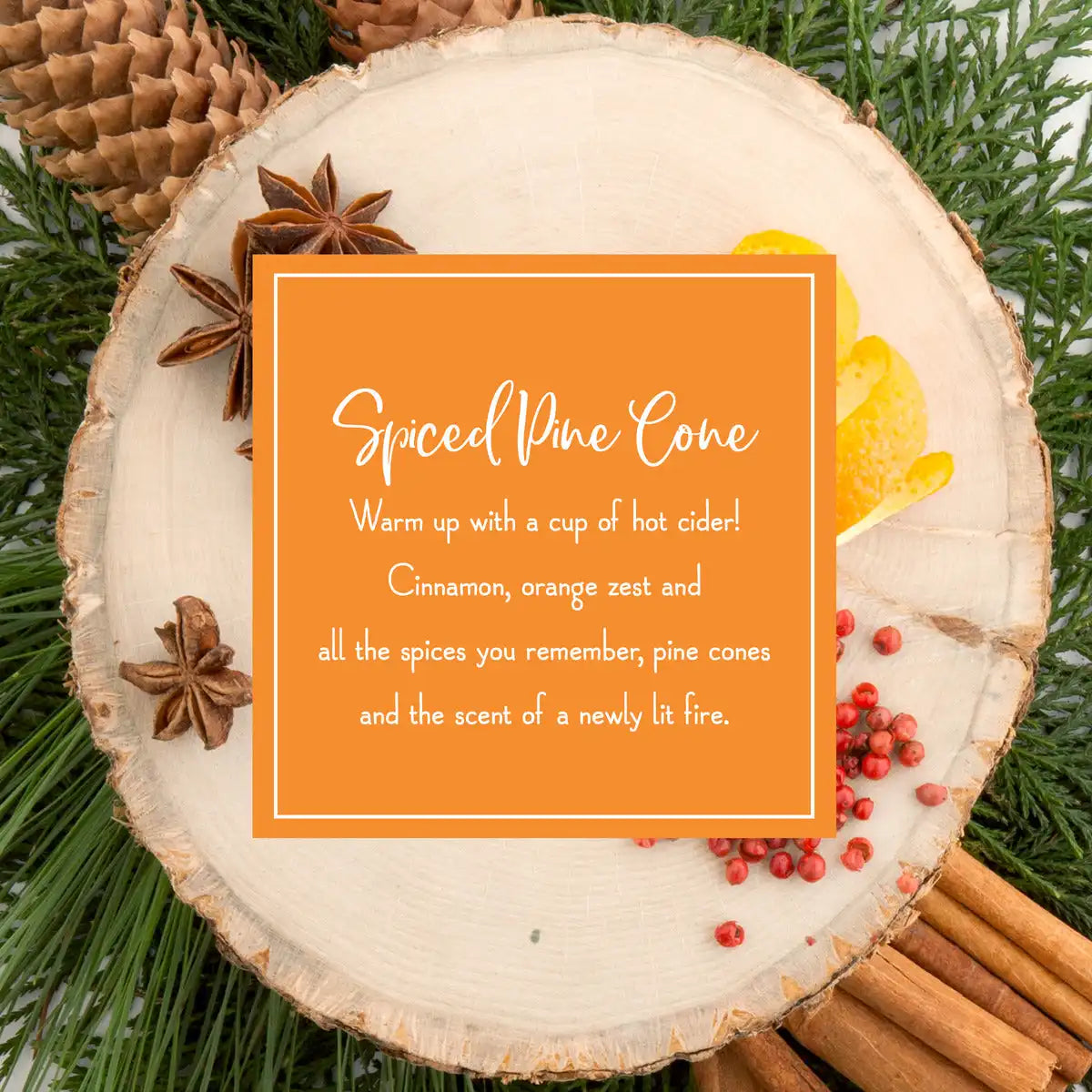 Scented Ornaments, 2-Pack-  6ct Bottle, Spiced Pine Cones, Fragrance-Infused Paper Sticks