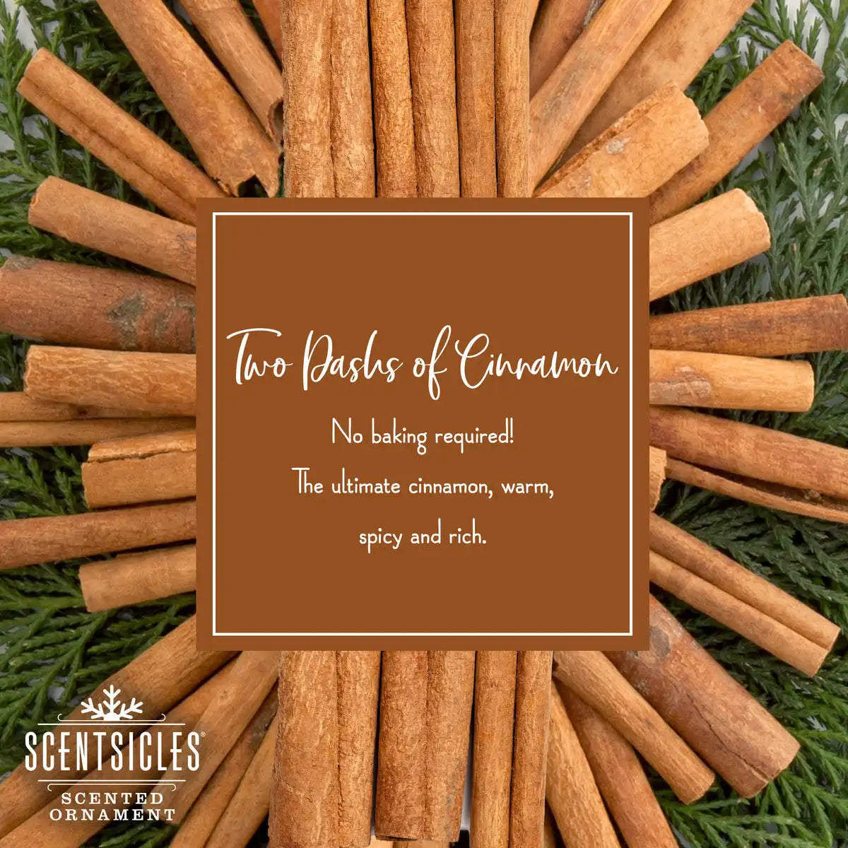 Scented Ornaments, 2-Pack- 6ct Bottle, 2 Dashes of Cinnamon, Fragrance-Infused Paper Sticks