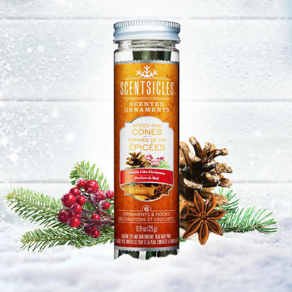 Scented Ornaments, 2-Pack-  6ct Bottle, Spiced Pine Cones, Fragrance-Infused Paper Sticks
