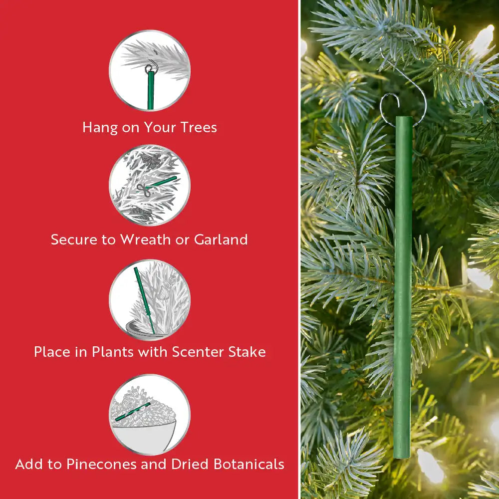 Scentsicles, 6pc Stick, Snowberry Pine - 2 Pack